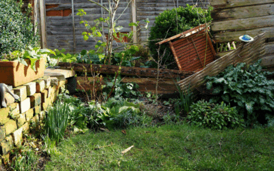 Do You Offer Emergency Services for Storm Damage?