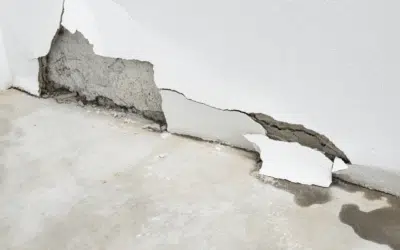 How to Spot Water Damage Before It Compromises Your Home’s Exterior