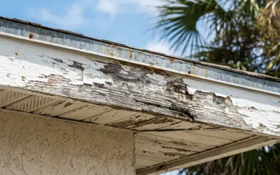 Fascia Damage in Madeira Beach: What Salt Air Does to Your Home’s Edges