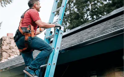 How to Prevent Mold and Moisture Damage in Florida Exteriors