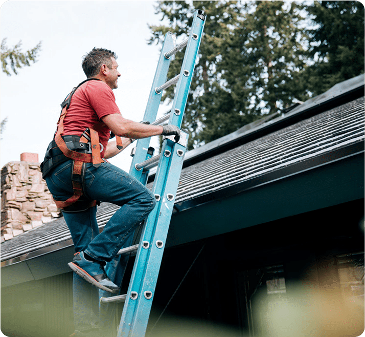 How to Prevent Mold and Moisture Damage in Florida Exteriors